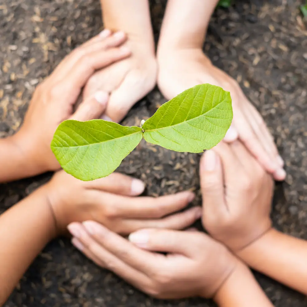 Educational excellence